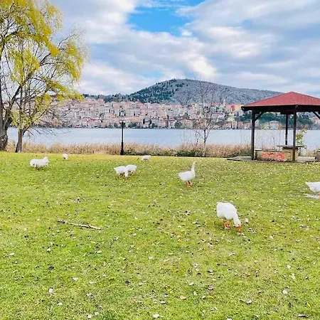 Διαμέρισμα Lida's View Καστοριά